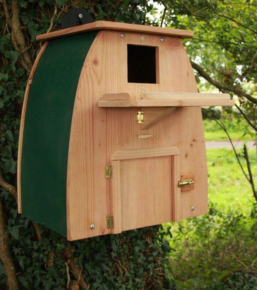 Wild Bird Care Wild Bird Accessories RSPB Shop